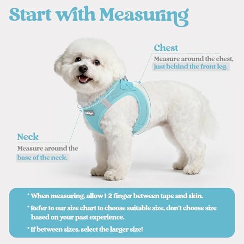 rabbitgoo Dog Harness Small Sized and Leash Set, Step-in Puppy Pet Vest - Image 2