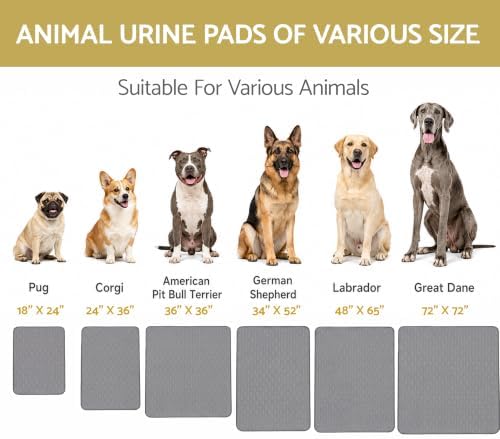 CoolShields Washable Pee Pads for Dogs, 1 Pack - Image 2