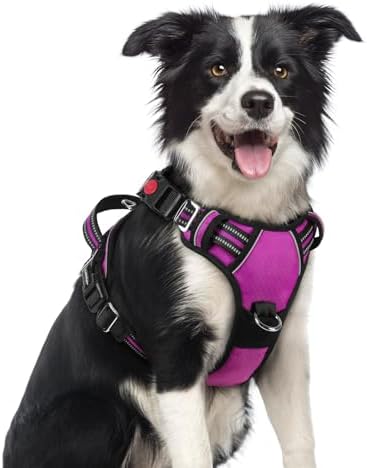 rabbitgoo Dog Harness Medium Sized, No Pull 3 Buckles Easy On & Off by rabbitgoo