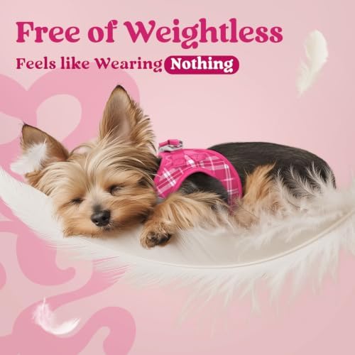 rabbitgoo Step-in Small Dog Harness, Puppy Vest - Image 4