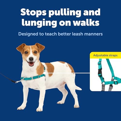 PetSafe Easy Walk Harness, No Pull Dog Harness - Image 3