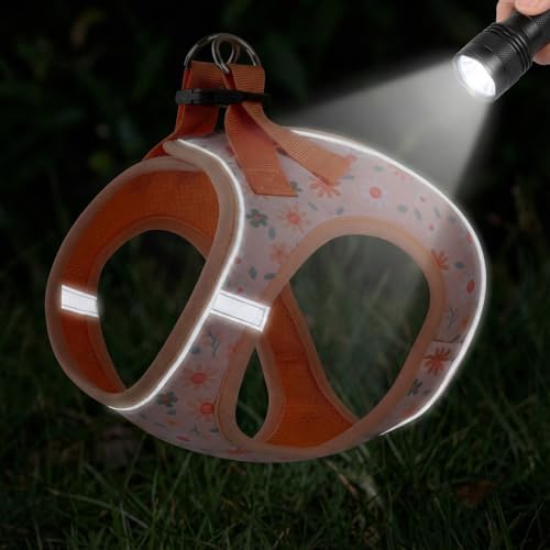 Mihqy Step in Dog Harness and Leash Set, Breathable Mesh - Image 4