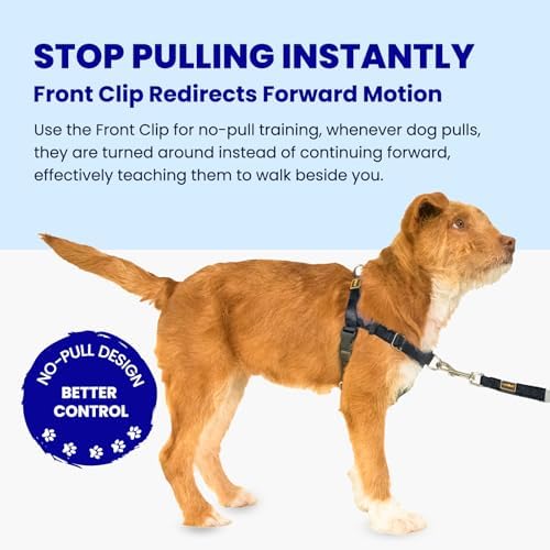 Freedom No Pull Dog Harness for Medium Dogs, Easy Walker, Anti Pulling - Image 2