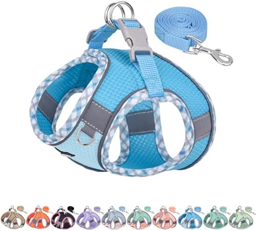 AIITLE Step in Dog Harness & Leash Set by AIITLE-FORPETSBETTERLIFE