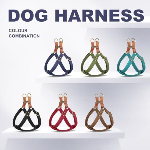 Didog Step in Dog Harnes for Medium Dogs, Chest 19-28" - Image 6