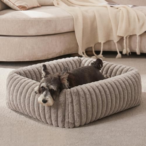 FURTIME Dog Bed for Small Dogs, Washable Orthopedic Dog Bed by FURTIME
