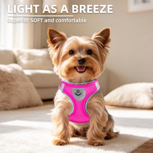 PUPTECK Dog Harness, Collar and Leash Set No Pull - Image 3