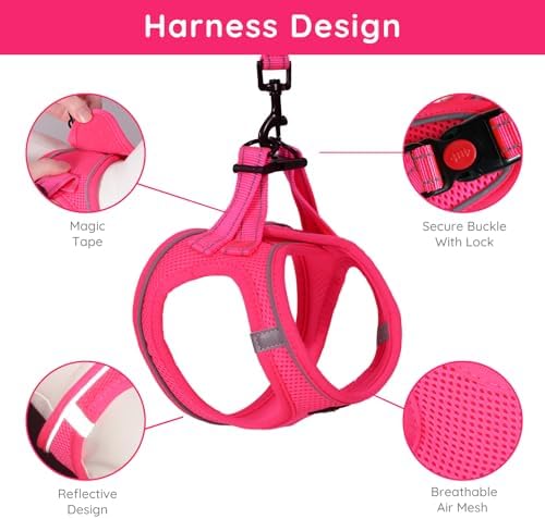 BELLA & PAL Step in Puppy Harness and Leash Set - Image 2