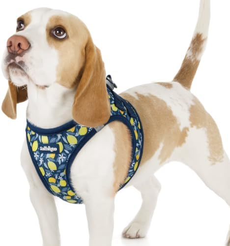 rabbitgoo Step-in Small Dog Harness, Puppy Vest by rabbitgoo