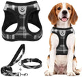 PUPTECK Dog Harness, Collar and Leash Set No Pull by PUPTECK