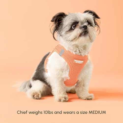 Downtown Pet Supply Pastel Tangerine X-Small Step-In Harness - Image 5