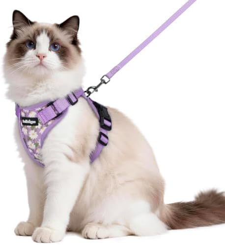 rabbitgoo Cat Harness and Leash Set, Escape Proof Vest, Purr-ple Daisy by rabbitgoo