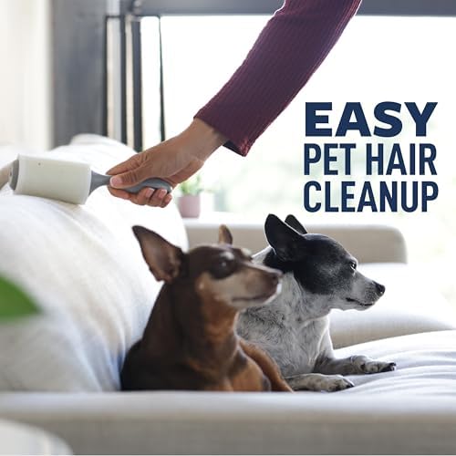 Scotch-Brite Everyday Clean Lint Roller, Scotch Brand Adhesive, Pet Hair & Lint - Image 3