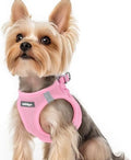 rabbitgoo Step-in Small Dog Harness, Puppy Vest by rabbitgoo