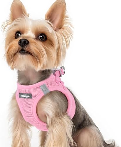 rabbitgoo Step-in Small Dog Harness, Puppy Vest by rabbitgoo