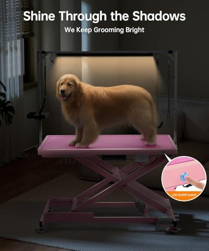 POLIMO Professional LED Electric Dog Grooming Table - Image 5