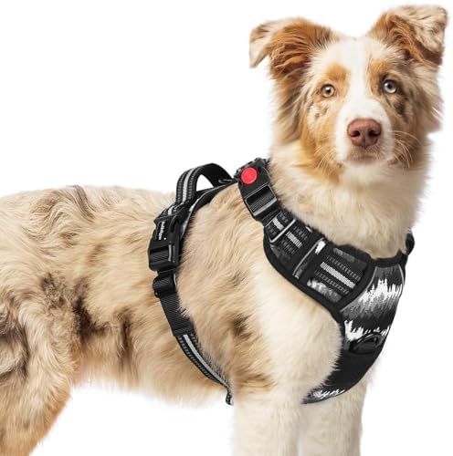 rabbitgoo Dog Harness Medium Sized, Updated Easy On & Off by rabbitgoo