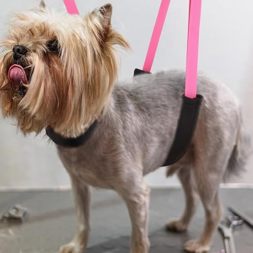 Dog Grooming Belly Strap - Image 5
