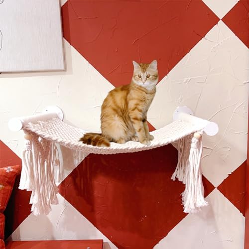 Cat Wall Shelves, Beds - Image 5