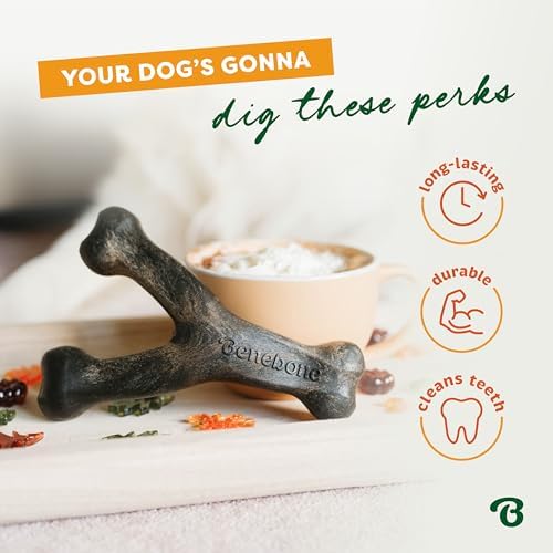 Benebone Wishbone Chew Toy for Aggressive Chewers, Pumpkin Spice - Image 6