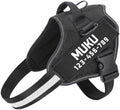 MUMUPET Custom Dog Harness by mumupet