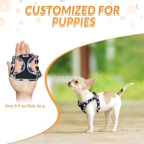 Lukovee Small Dog Harness and Leash Set, No Pull Lightweight Soft Mesh Vest - Image 2
