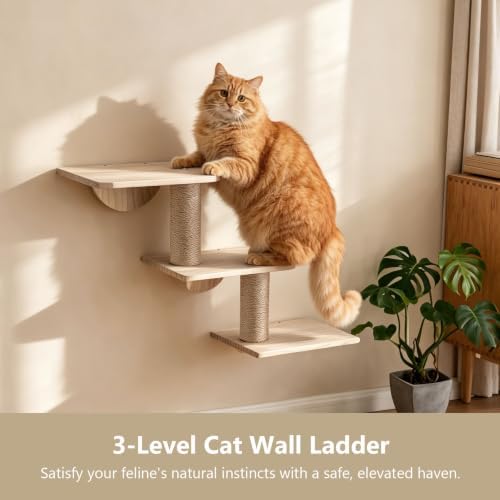 Cat Wall Ladder, 3-Level Cat Climbing Shelf, Solid Pine Wood Pet Wall Perch - Image 3