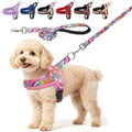 BEAUTYZOO Dog Harness Medium Sized and Leash Set, No Pull Step in Pet Vest by BEAUTYZOO
