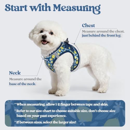rabbitgoo Dog Harness Small Sized and Leash Set, Step-in Puppy Pet Vest - Image 2