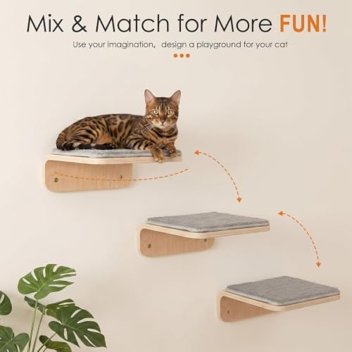 Wenqik 4 Pcs Cat Steps for Wall, Wooden Cat Climbing Shelf 10 x 10 x 4 Inch - Image 2