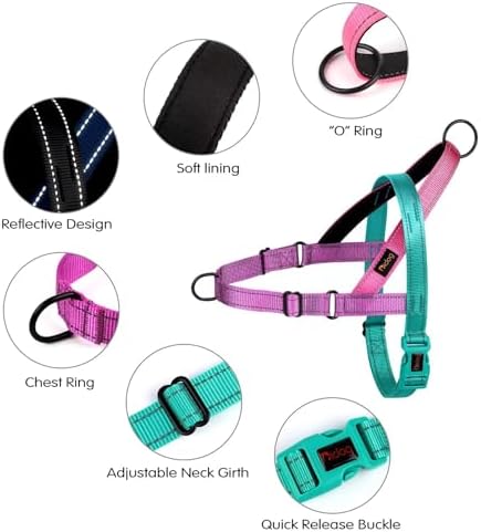 Didog No Pull Dog Harness for Large Dogs, Soft Padded Handle, Dark Green - Image 2