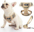 PUPTECK Small Dog Harness and Leash Set No Pull by PUPTECK