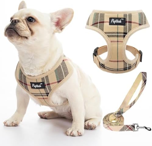 PUPTECK Small Dog Harness and Leash Set No Pull by PUPTECK