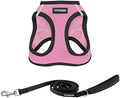 Best Pet Supplies Voyager Step-in Air All Weather Mesh Harness and Reflective by BestPetSuppliesLLC