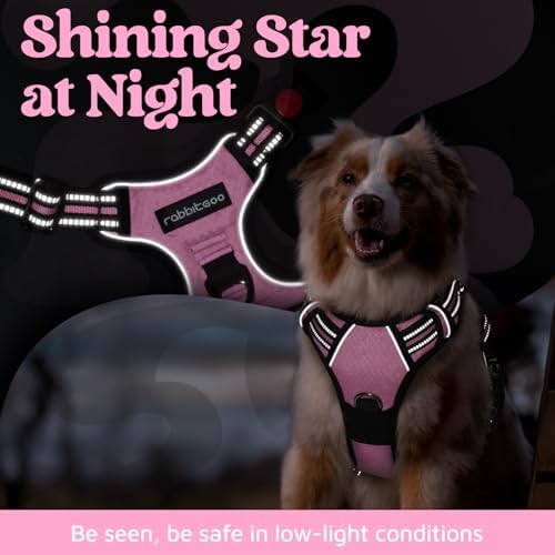 rabbitgoo Dog Harness Small Sized, No Pull 3 Buckles Easy On & Off - Image 6