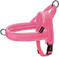 Didog No Pull Dog Harness for Small Dogs, Soft Flannel Padded by Didog