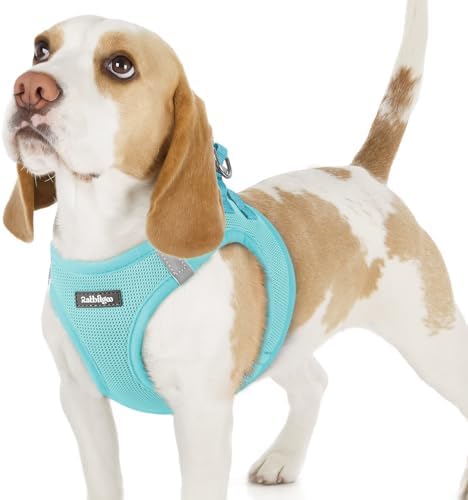 rabbitgoo Step-in Small Dog Harness, Puppy Vest by rabbitgoo