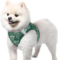 rabbitgoo Step-in Small Dog Harness, Puppy Vest by rabbitgoo
