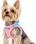 rabbitgoo Step-in Small Dog Harness, Puppy Vest by rabbitgoo