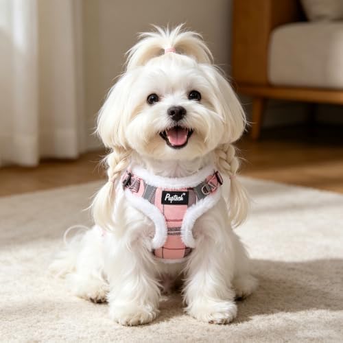 PUPTECK Dog Harness and Leash Set Small Sized, Step in No Pull Adjustable Puppy - Image 6