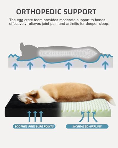 KSIIA Orthopedic Dog Bed for Small Dogs - Image 2