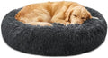 JOLLYVOGUE Calming Washable Dog Beds Large Sized Dog, 36Inch Donut Large Dog Bed by JOLLYVOGUE