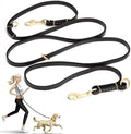 Guiding Star 8ft Leather Dog Leash by GuidingStar