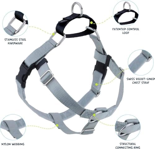 2 Hounds Design Freedom No Pull Dog Harness and Leash, 5/8" MD - Image 4