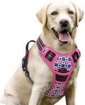 rabbitgoo Dog Harness, No Pull for Large Dogs by rabbitgoo