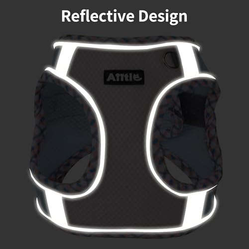 AIITLE Breathable Dog Harness Small Sized and Leash Set - Image 3