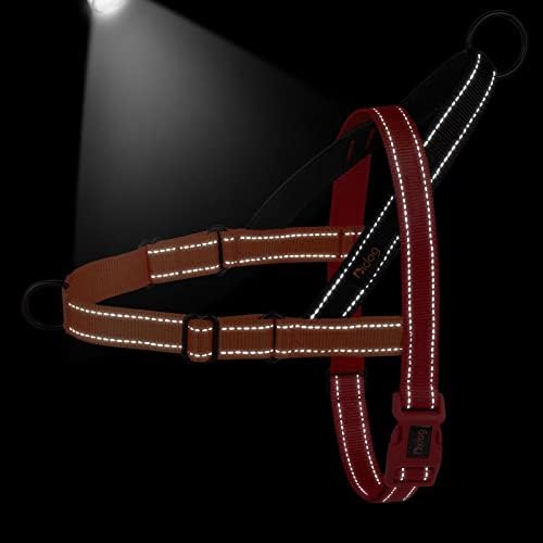 Didog No Pull Dog Harness for Small Dogs, Soft Padded Handle - Image 4