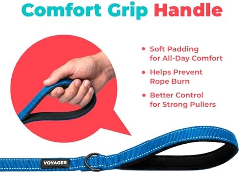 Best Pet Supplies Voyager Nylon Dog Leash - Image 6
