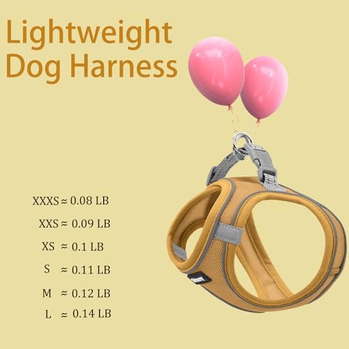 Solmoony Sparkly XS Dog Harness and Leash Set, Step in Soft Light Puppy Vest - Image 4