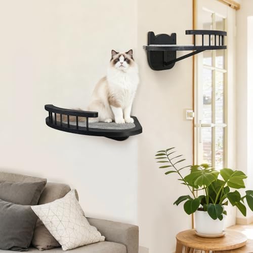 Cat Wall Shelves Furniture Set - Image 5